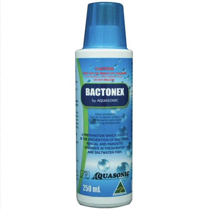 Aquasonic Bactonex