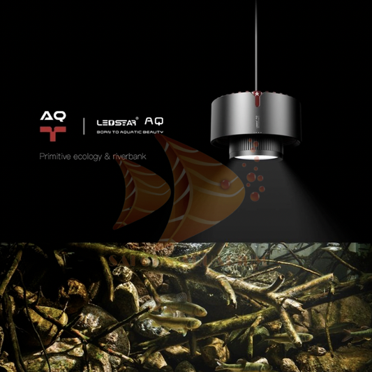 LEDSTAR Tyndall WRBG Smart Spotlight