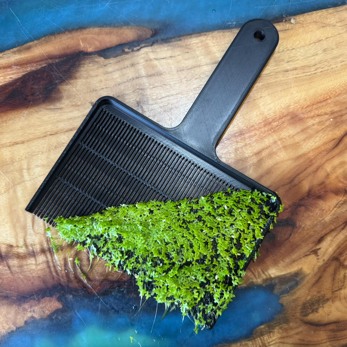 Duckweed Removal Scoop
