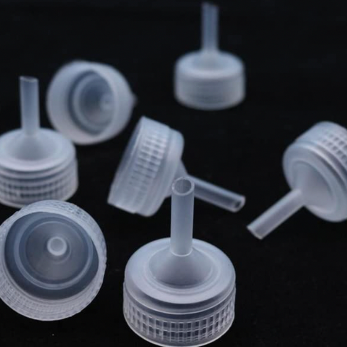 Brine Shrimp Bottle Cap