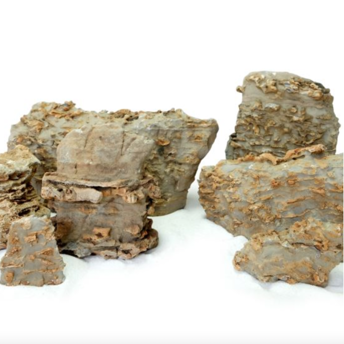 WYLD Scapes - Gold Flecked Rock per 100g