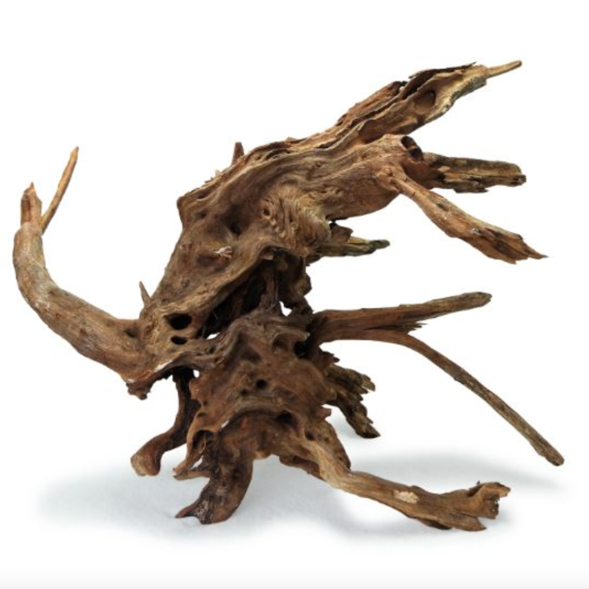 WYLD Scapes - Pacific Wood