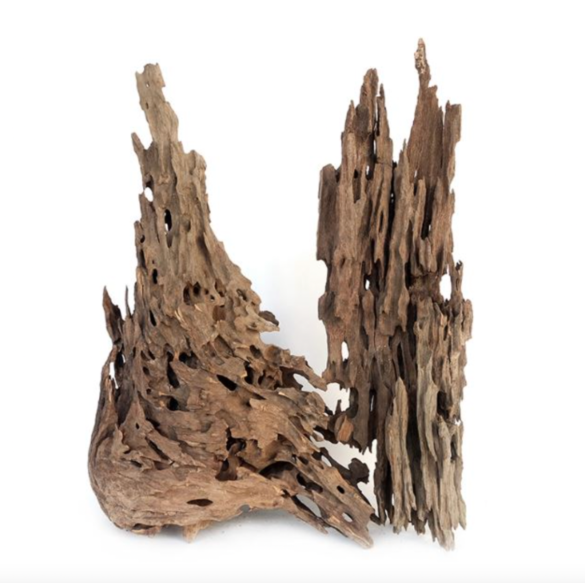 WYLD Scapes - Dragon Wood