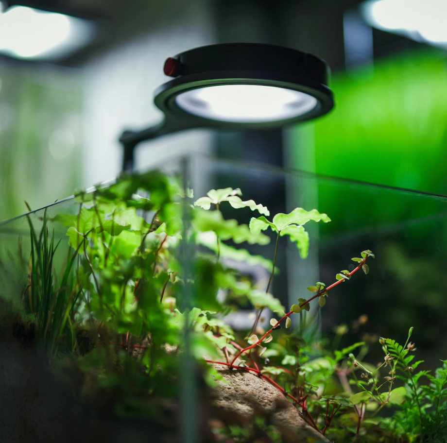 LEDSTAR Dot III Nano Aquarium Light