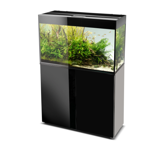 Aquariums and Cabinets