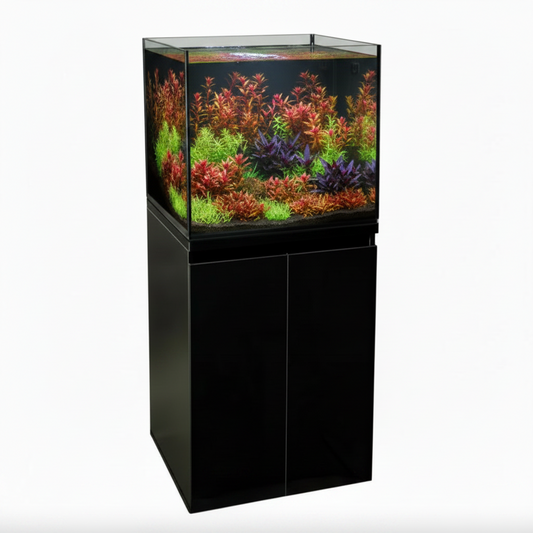 Black aquarium with green aquatic plants on a white background