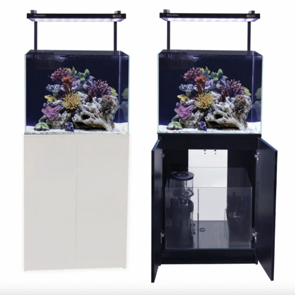 Two aquariums with coral setups on stands against a white background