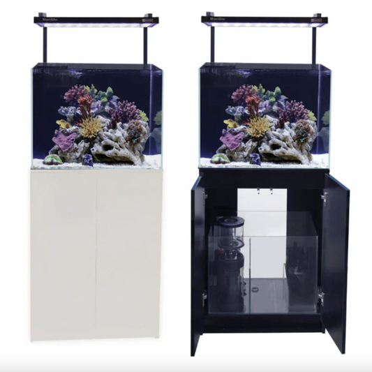 Two aquariums with coral setups on stands against a white background