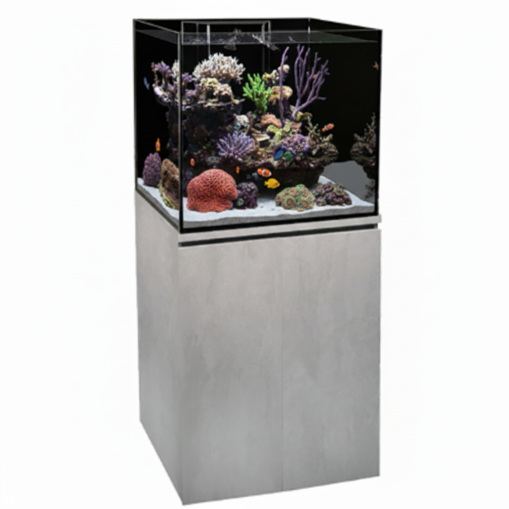Fish tank with underwater scenery and fish on a white background