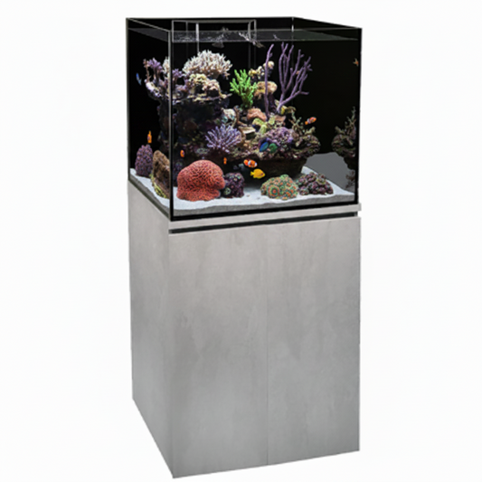Fish tank with underwater scenery and fish on a white background