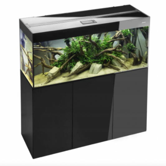Aquarium with decorative elements on a white background