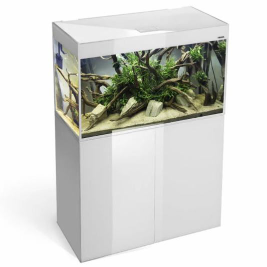 Aquarium with decorative elements on a white background