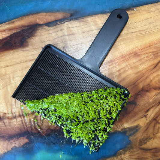 Black Scoop showing bright green duckweed removed from aquarium