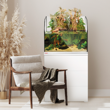 Modern interior with a chair, plant, and fish tank.