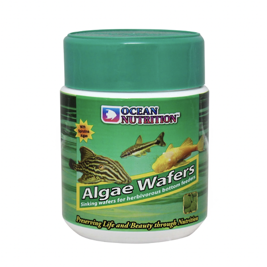 Ocean Nutrition Algae Wafers