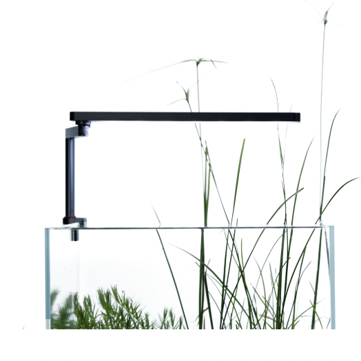 LEDSTAR AQ-N WRGB Nano Smart Light