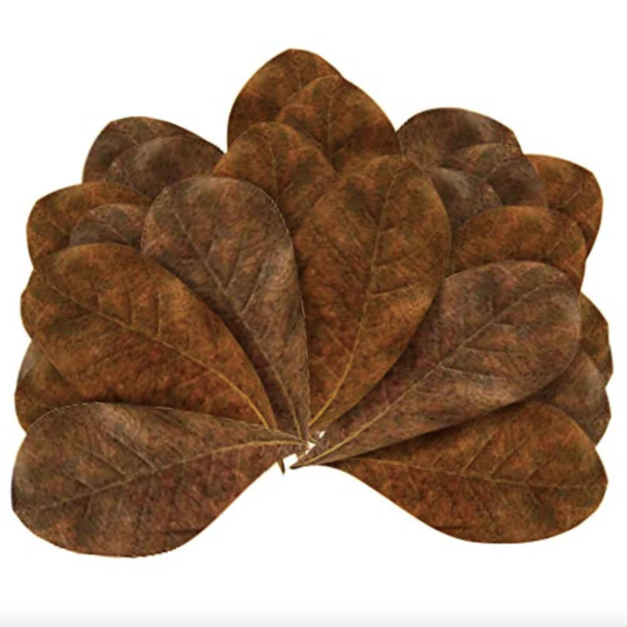 Indian Almond Leaves