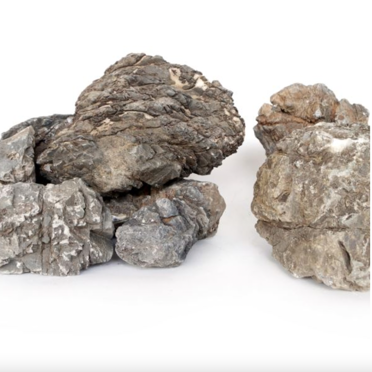 WYLD Scapes - Rhino Skin Rock per 100g