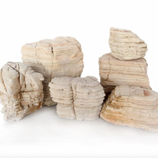 WYLD Scapes - Layered Desert Rock per 100g
