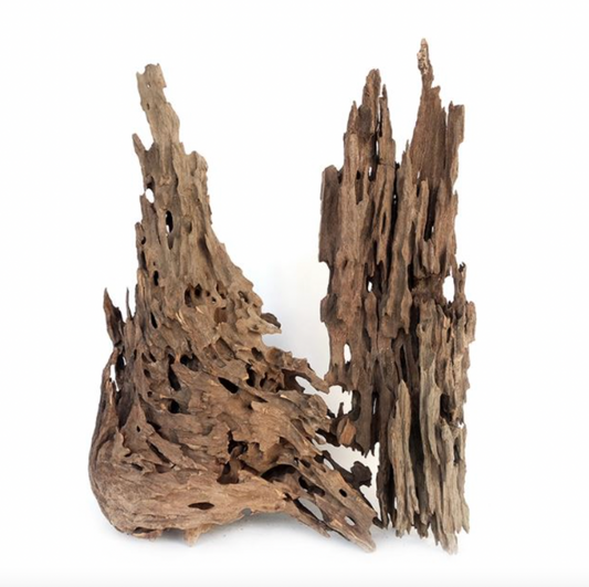 WYLD Scapes - Dragon Wood