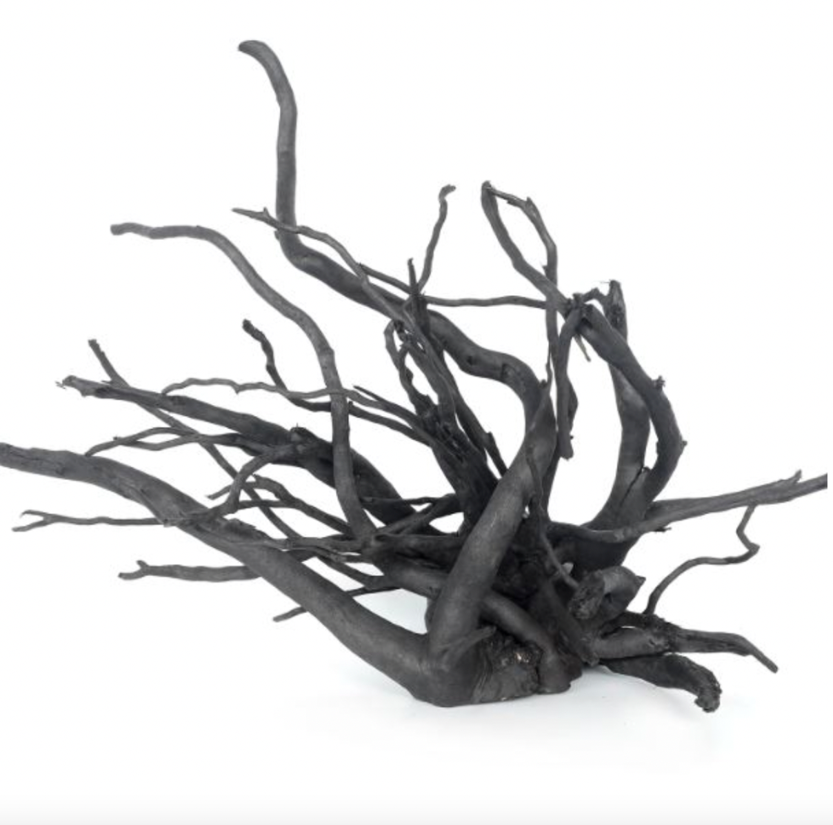 WYLD Scapes - Black Spider Wood