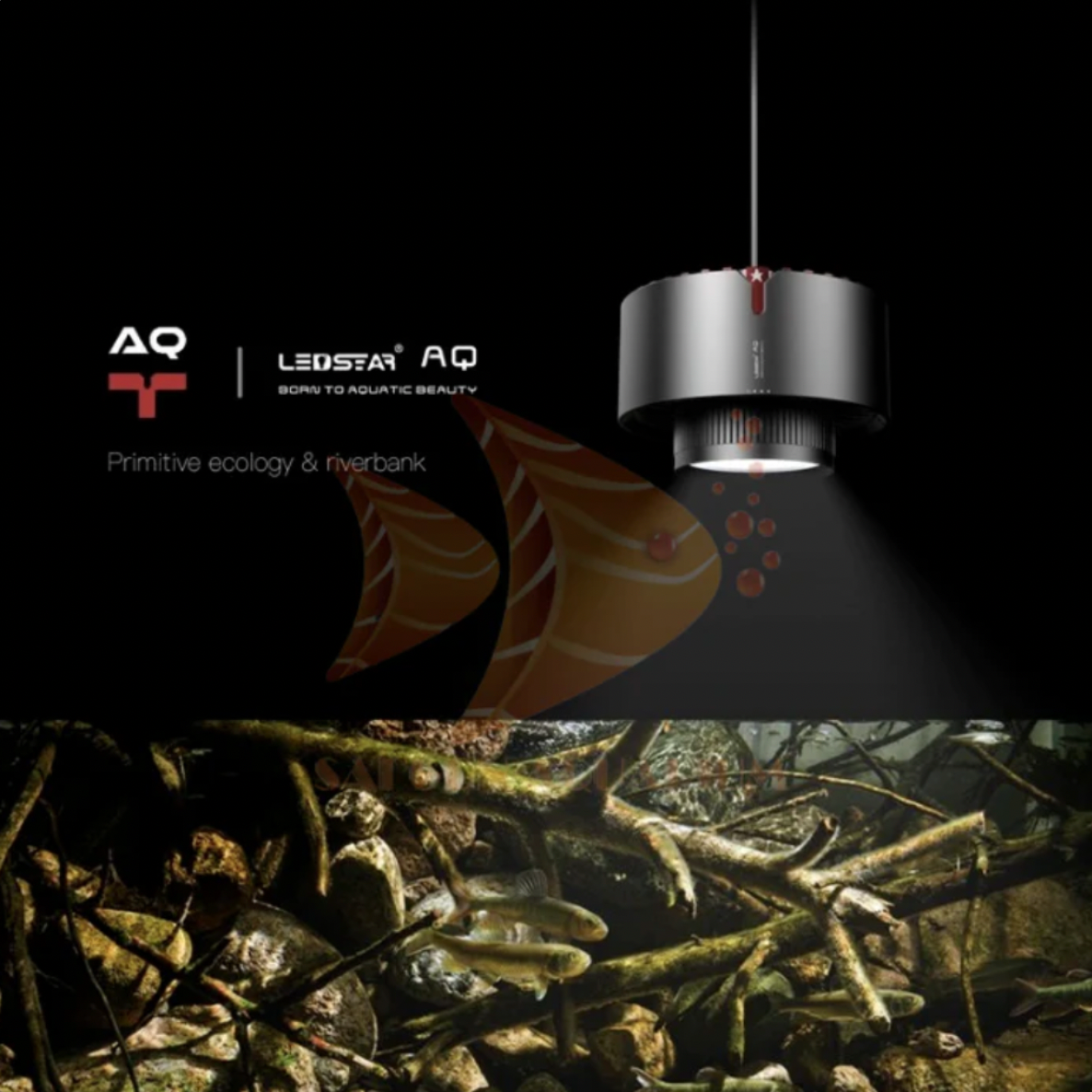 LEDSTAR Tyndall WRBG Smart Spotlight