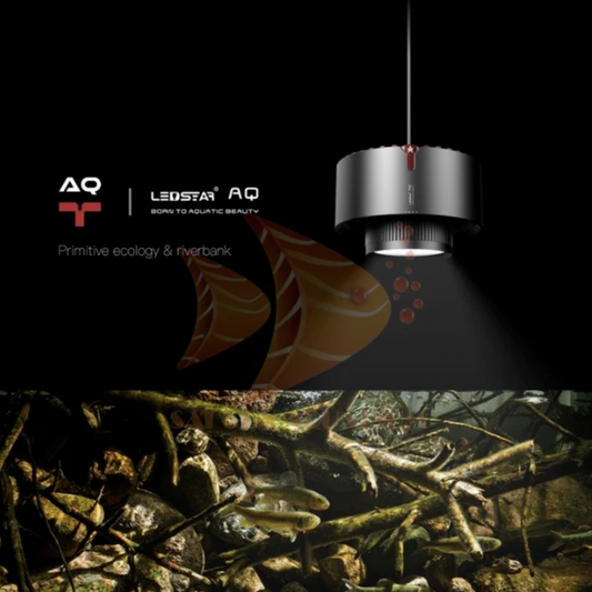 LEDSTAR Tyndall WRBG Smart Spotlight