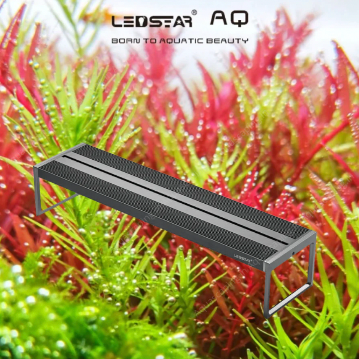 LEDSTAR AQ-Z WRGB Smart Light