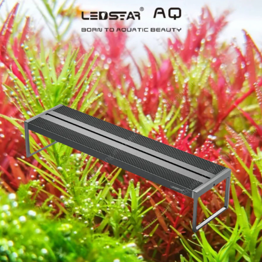 LEDSTAR AQ-Z WRGB Smart Light