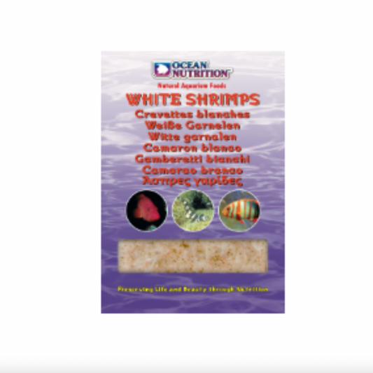 Ocean Nutrition - Frozen White Shrimps