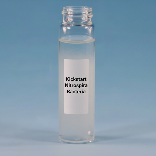 Live Nitrospira bacteria for establishing aquarium biological filters